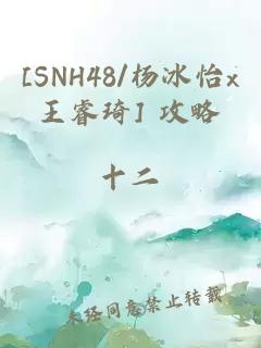 [SNH48/杨冰怡x王睿琦] 攻略